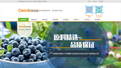 青岛网站优化及推广